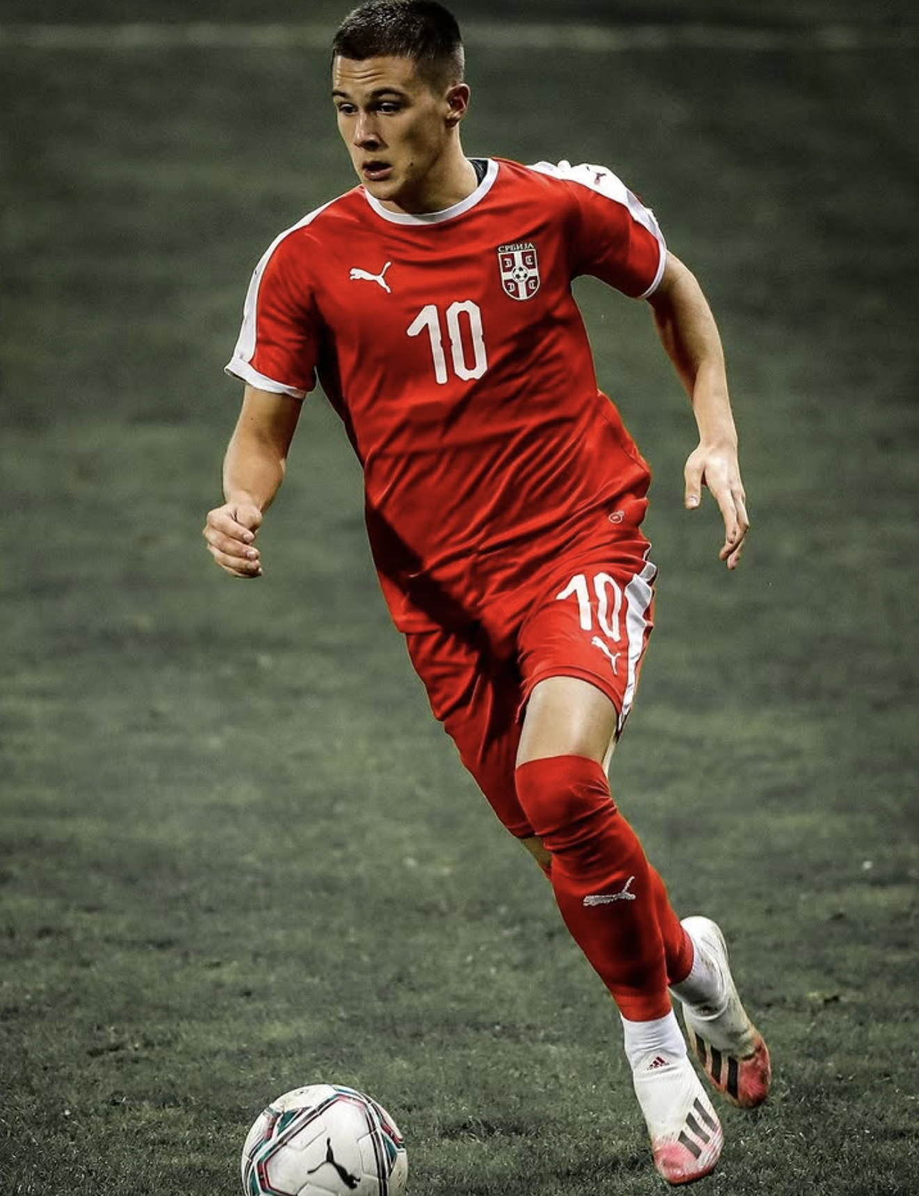 Filip Stevanović